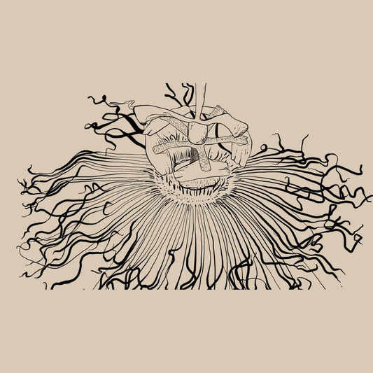 WANDERLUST SOULFUL SLEEP 30 CAPS - Cutprice Online