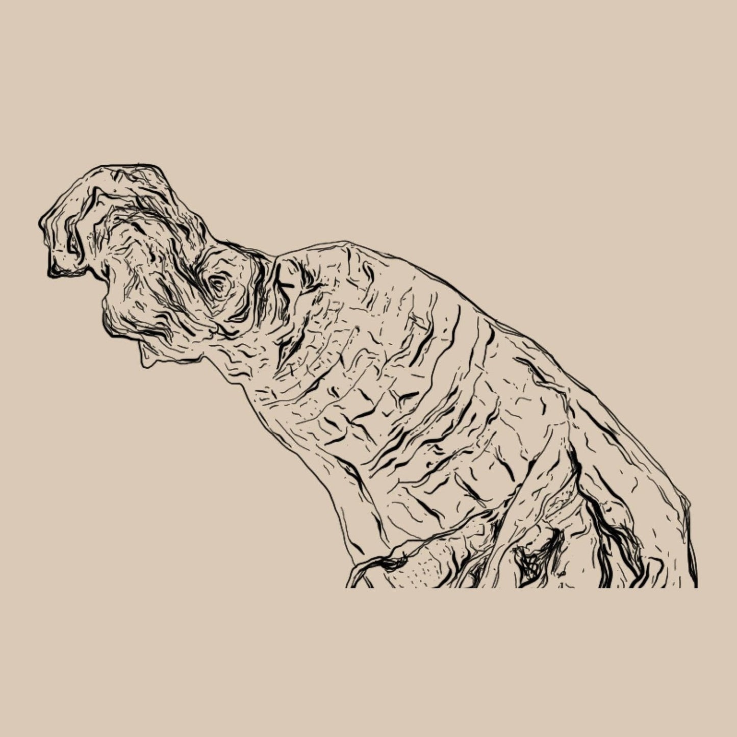 WANDERLUST SIBERIAN GINSENG DROPS 90ML - Cutprice Online