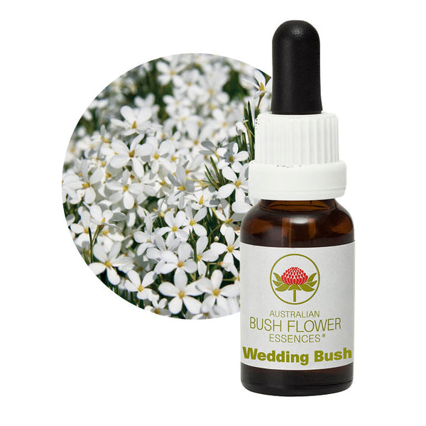 Australian Bush Flower Essences Wedding Bush 15ml - Cutprice Online