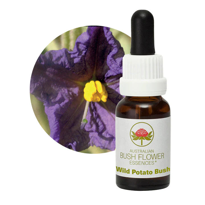 Australian Bush Flower Essences Wild Potato Bush 15ml - Cutprice Online