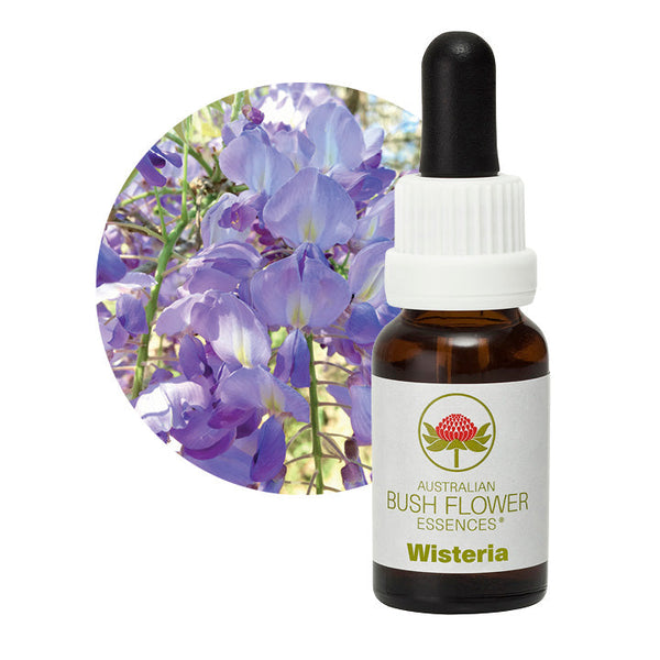 Australian Bush Flower Essences Wisteria 15ml - Cutprice Online