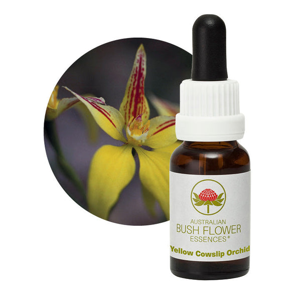 Australian Bush Flower Essences Yellow Cowslip Orchid 15ml - Cutprice Online
