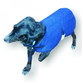 DICK WICKS DOG JACKET - Cutprice Online