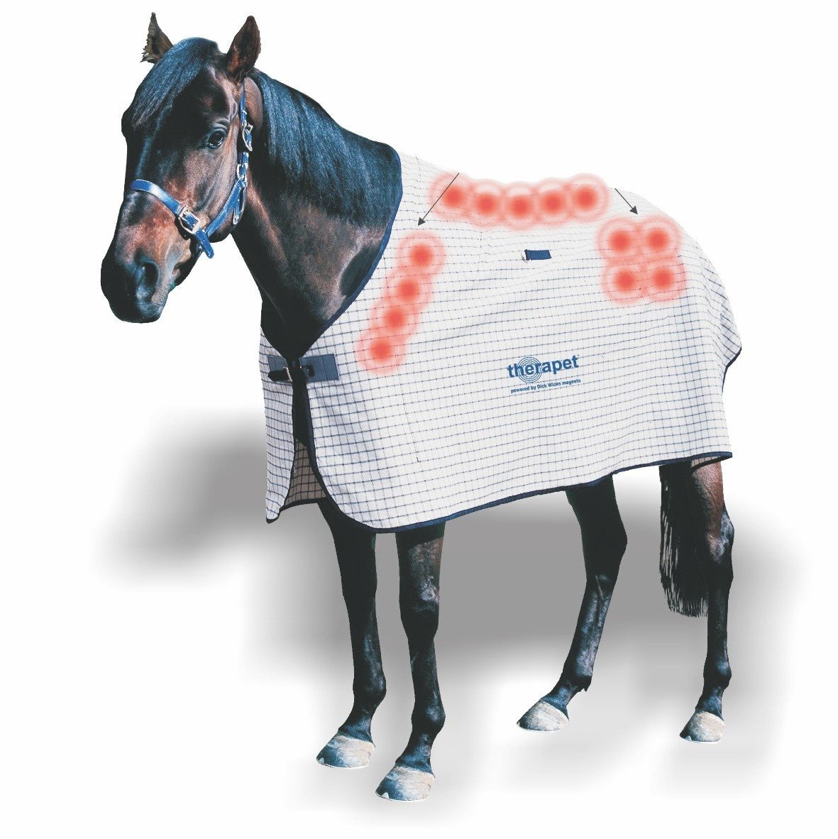 DICK WICKS MAGNETIC HORSE RUG - Cutprice Online