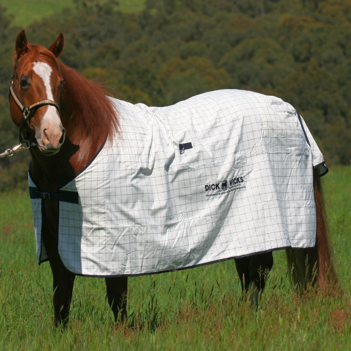 DICK WICKS MAGNETIC HORSE RUG - Cutprice Online
