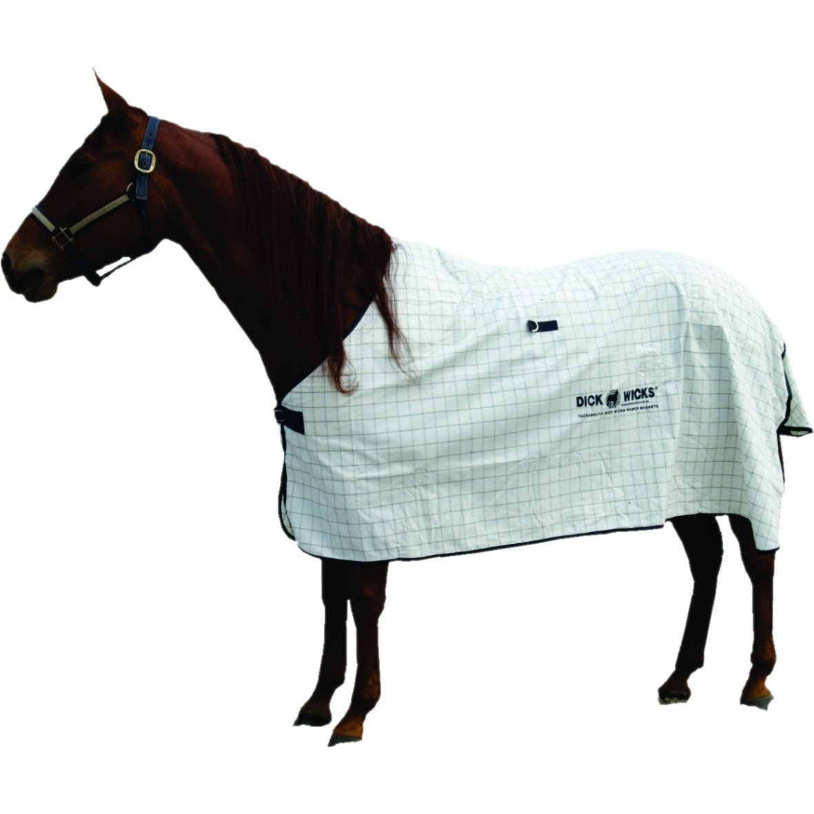 DICK WICKS MAGNETIC HORSE RUG - Cutprice Online