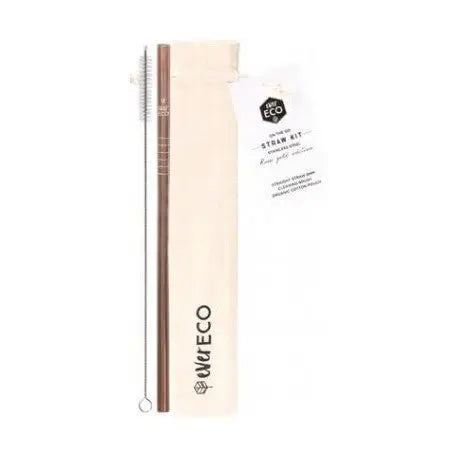 EVER ECO Stainless Steel Straw Kit - Straight 1 EVER ECO