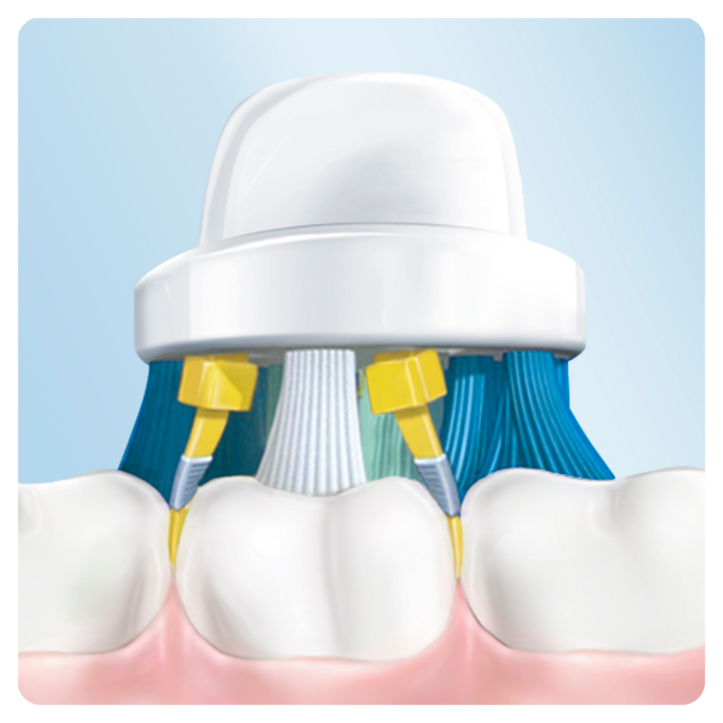 Oral B Power Toothbrush Floss Action Refills 3 Pack - Cutprice Online