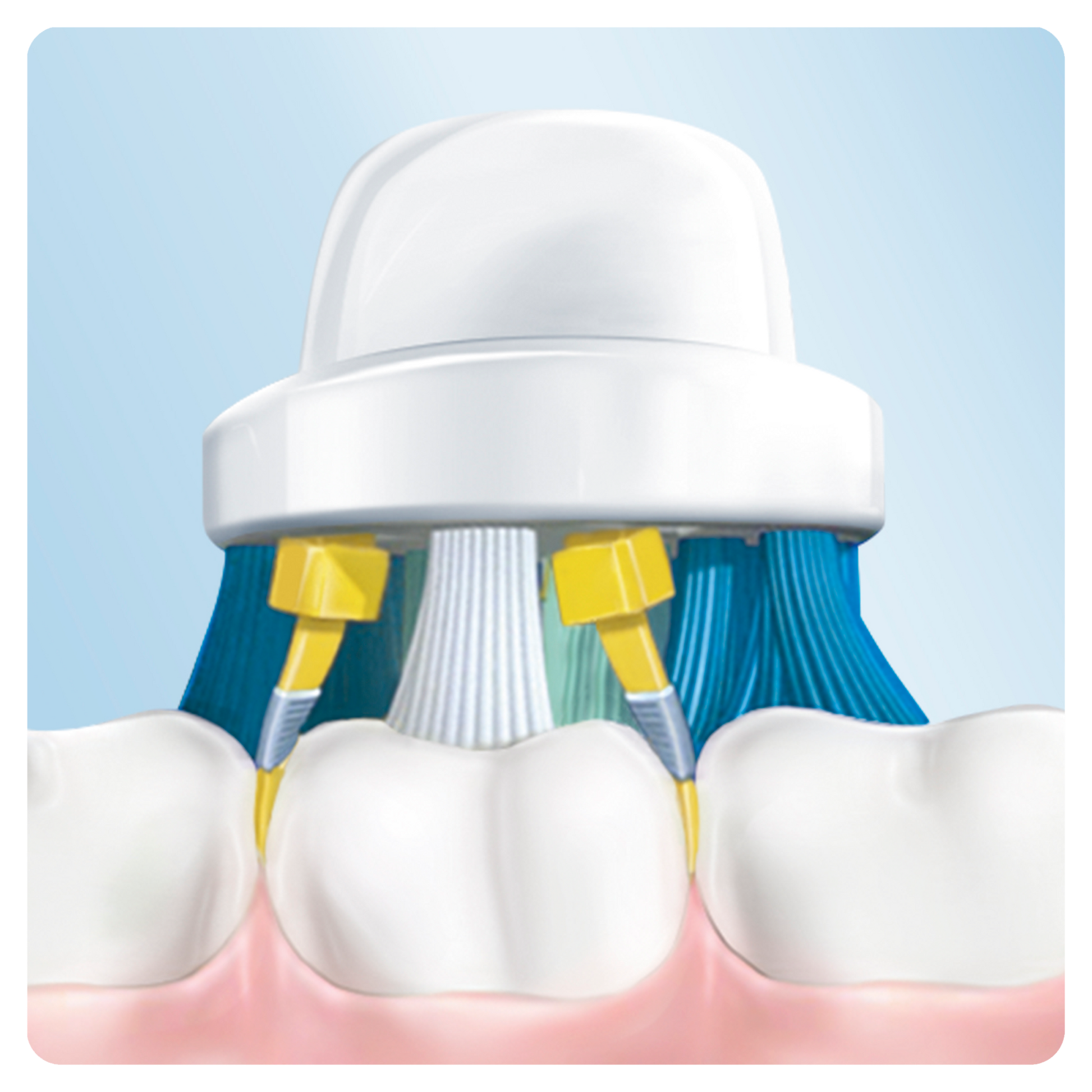 Oral B Power Toothbrush Floss Action Refills 3 Pack - Cutprice Online