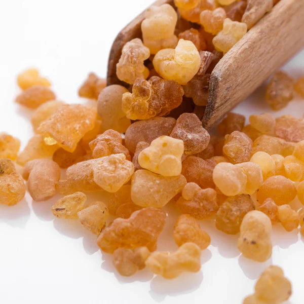 Ausganica Organic Essential Oil Frankincense Serrata 10ml - Cutprice Online