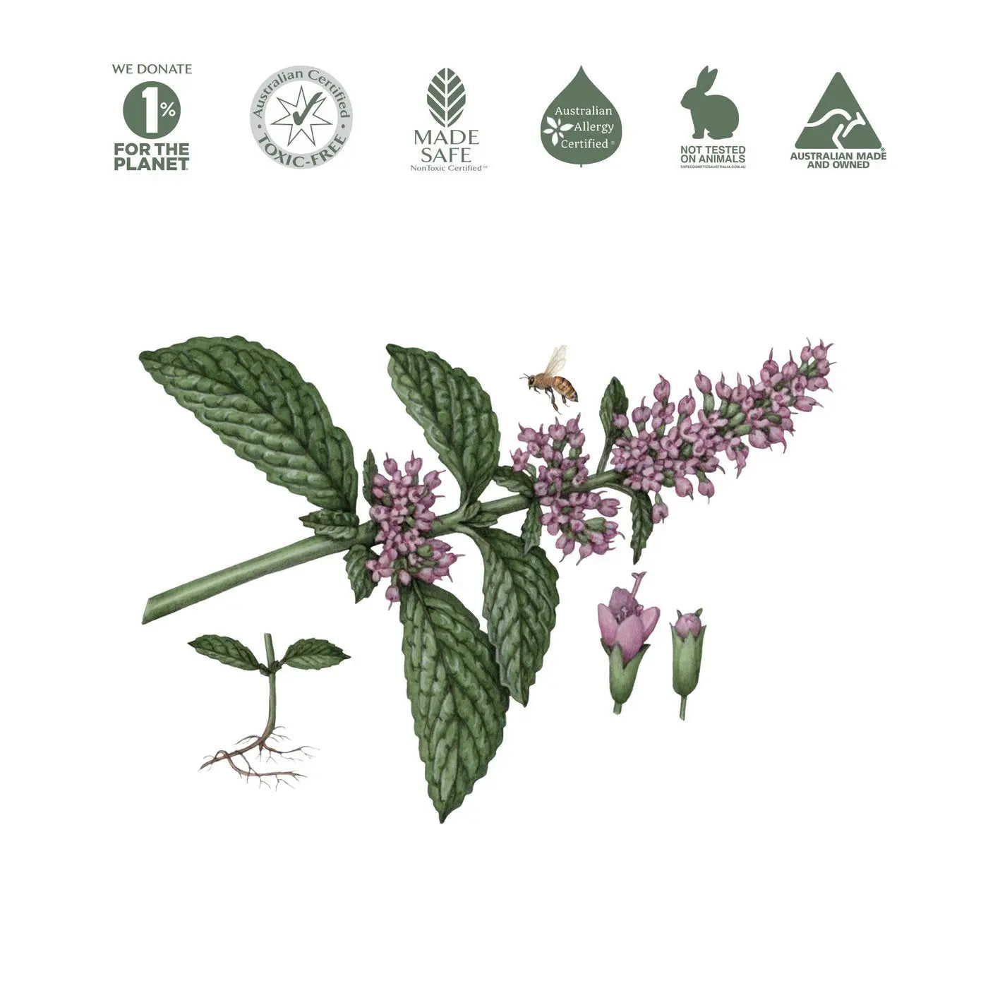 KOALA ECO Stainless Steel Cleaner Peppermint Essential Oil 500ml KOALA ECO