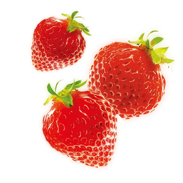 MACRO MIKE Plant-Based Aminos Strawberry Lychee 300g MACRO MIKE