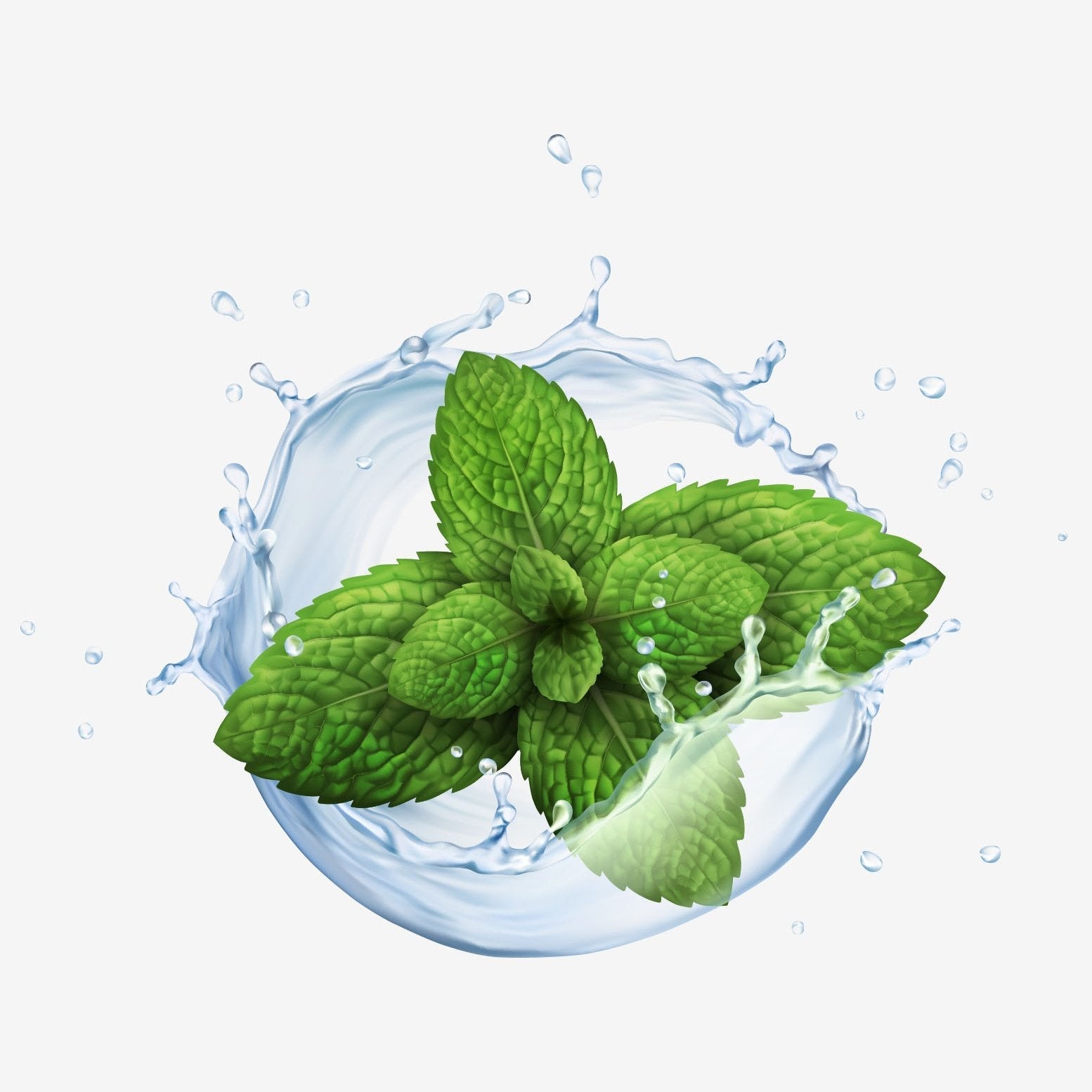 Ausganica Organic Essential Oil Peppermint 10ml - Cutprice Online