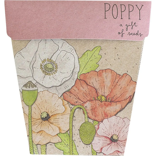 SOW 'N SOW Gift Of Seeds Poppy 1 SOW 'N SOW