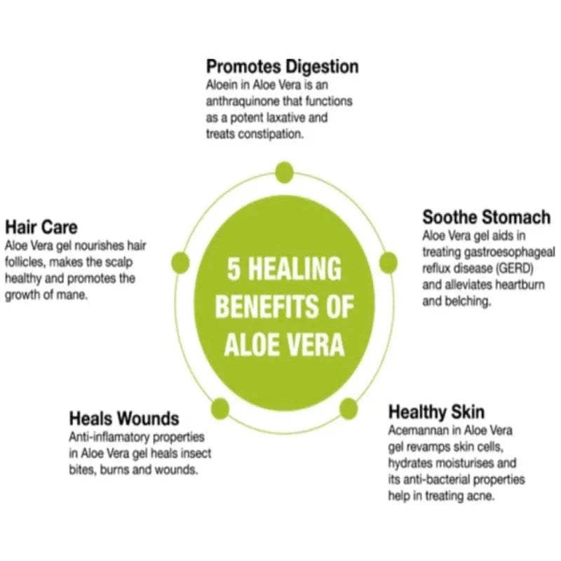 Aloe Vera Pure Inner Leaf Gel Tube 98% 100ml